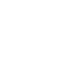 Vector 300