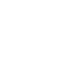Vector 401