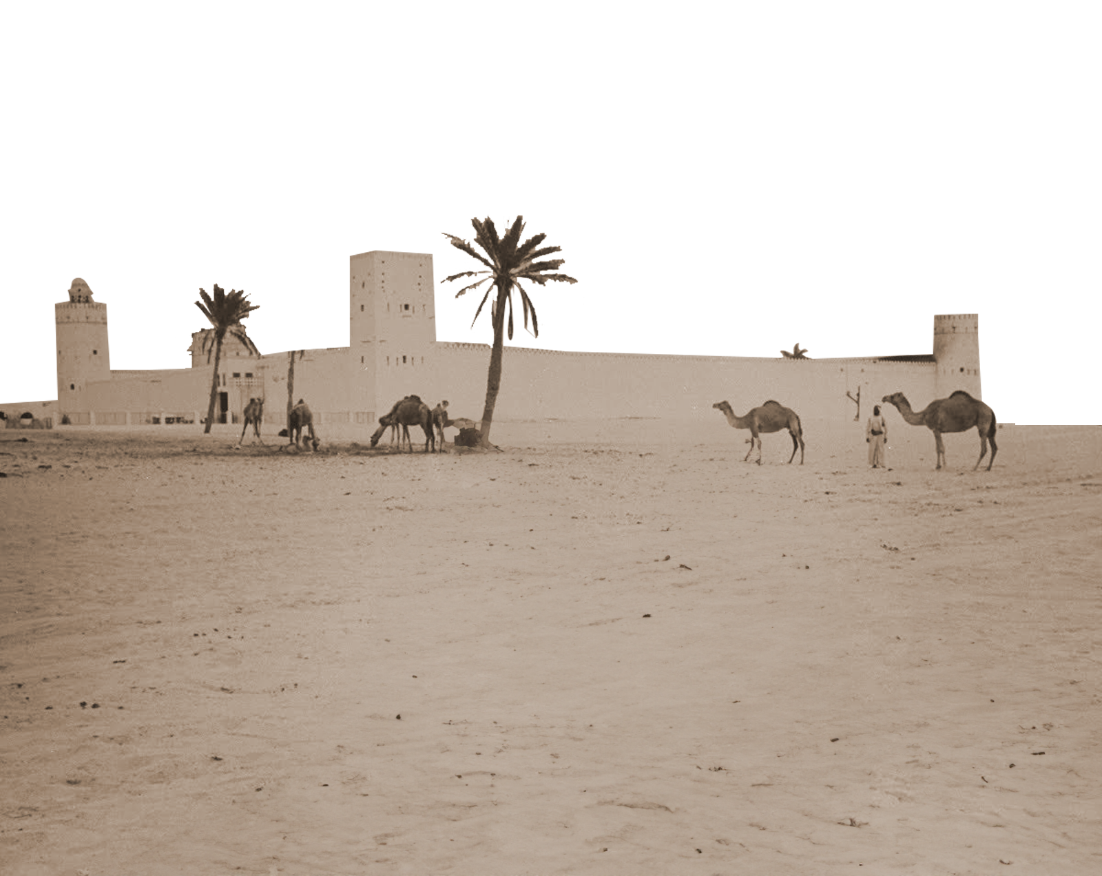 المبنى والجمال